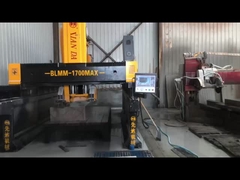 بلوم-1800ماكس